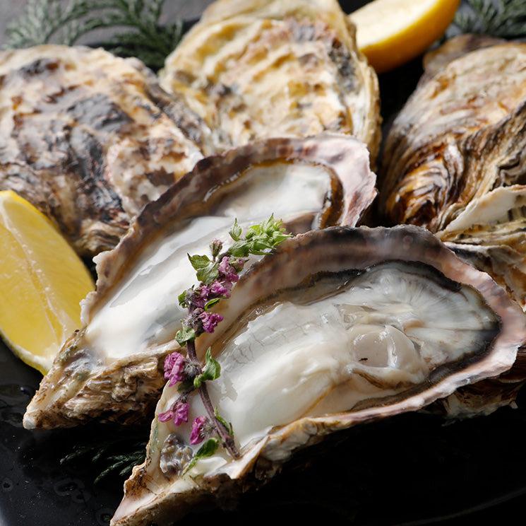 2kg oysters with shell 