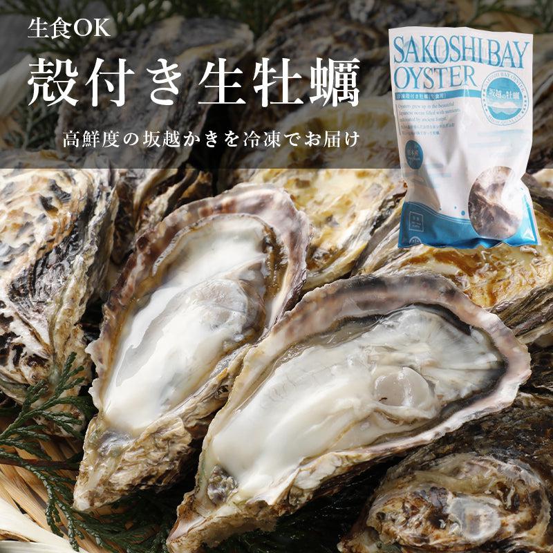 冷凍殻付き生牡蠣12個入り - 光栄水産