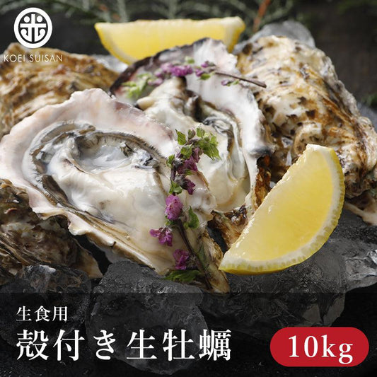 殻付き牡蠣１０kg - 光栄水産